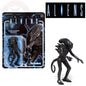 Aliens Alien Warrior Midnight 3 3/4-Inch ReAction Figure